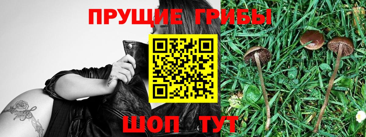 Псилоцибиновые грибы MAGIC MUSHROOMS Ивантеевка